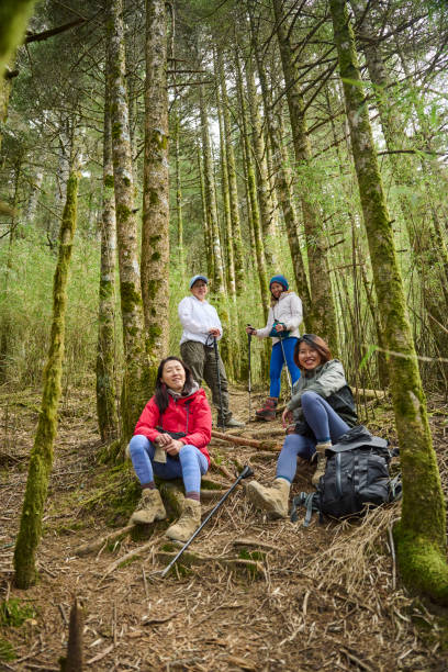 istock Female make a portrait in a forest. 1490350634