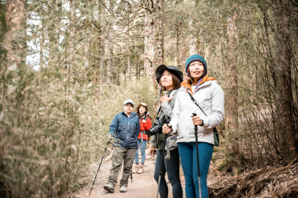 istock Female make a portrait in a forest. 1490350778