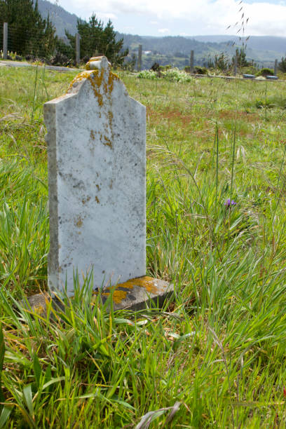 istock Marble headstone in an overgrown cemetery on a sunny coastal bluff 1490353472