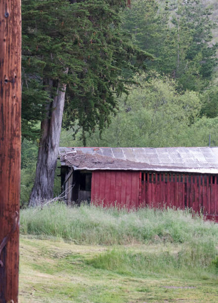 istock Classic old red barn on a country farm 1490355236