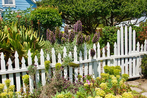 Charming cottage garden with white wood picket fence