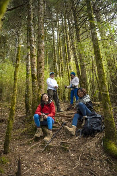 istock Female make a portrait in a forest. 1490357191
