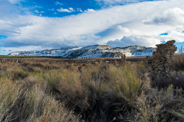 Amazing Tufa Formations, Mono Lake, California