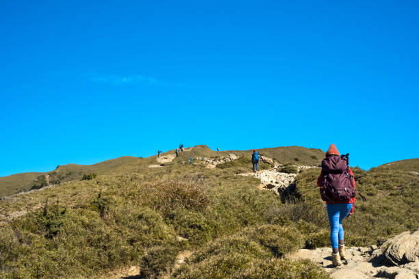 istock Hikers walking alone on top of a mountain. 1490358667