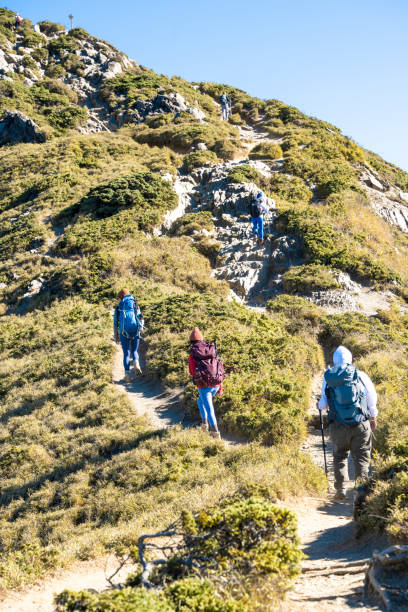 istock Hikers walking alone on top of a mountain. 1490358798