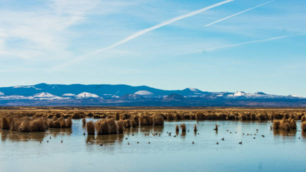 lago tule - tule lake national wildlife refuge fotografías e imágenes de stock