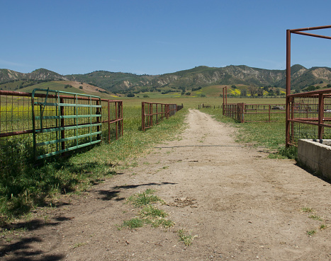 Dirt road in the countryside on a sunny Spring day