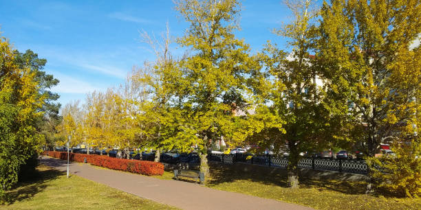 istock Trees and plants in an autumn park on a sunny day 1490361235