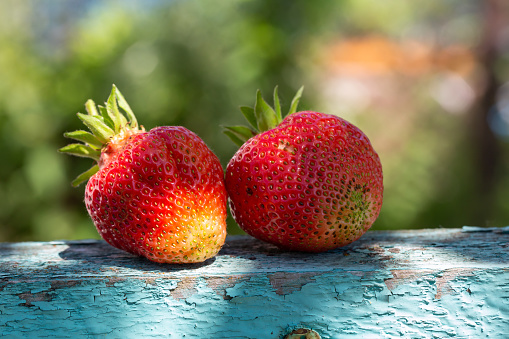 Two strawberries lie on a wooden table on a sunny summer day. Ripe red berries in sunlight closeup photo. Summer still life with strawberries.