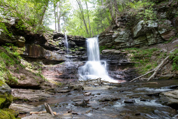istock Time Stands Still: Long Exposure of a Waterfall Cascading Over Rocks Surrounded by Green Trees 1490362290
