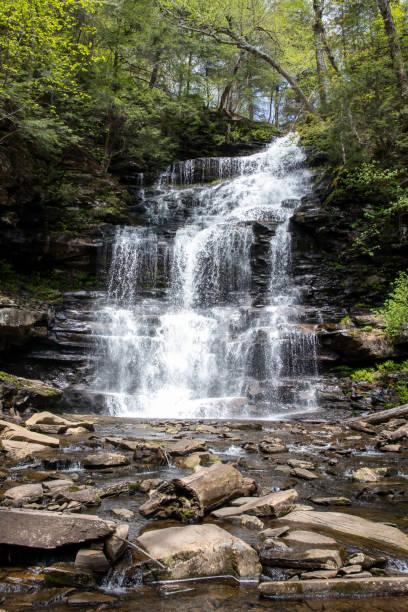 istock Majestic Cascade: A Vertical View of a Grand Pennsylvania Waterfall 1490362405