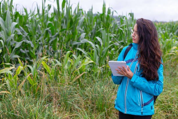 istock Serious young ethnic woman checking plants and taking notes in garden 1490362870