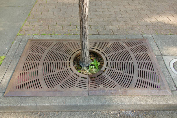 istock City sidewalk with vintage metal grate 1490363061