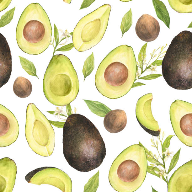 Watercolor seamless pattern with illustration of appetizing green sliced hass avocados with pit and flowers on white background. Watercolor seamless pattern with illustration of appetizing green sliced hass avocados with pit and flowers on white background. Can be used for packaging design, prints, fabric, clothers hass avocado stock illustrations