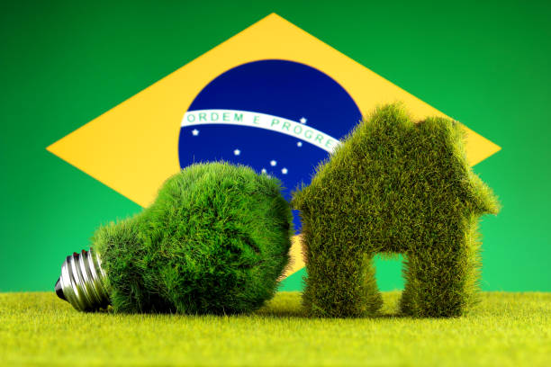 Green eco light bulb, eco house icon and Brazil Flag. Renewable energy. Electricity prices, energy saving in the household. stock photo