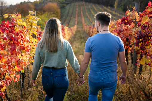 Rear view of a young happy couple walking and holding hands in the vineyard during autumn day