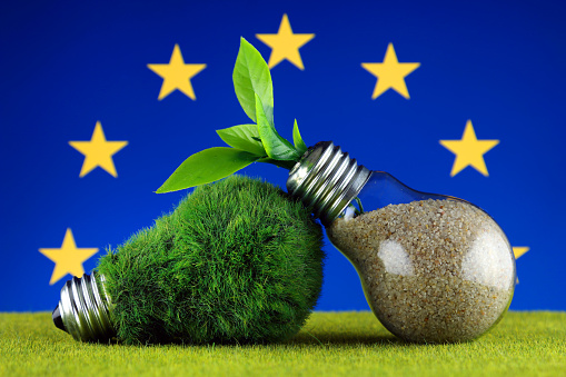 Green eco light bulb with grass, plant growing inside the light bulb, and European Union Flag. Renewable energy. Electricity prices, energy saving in the household.