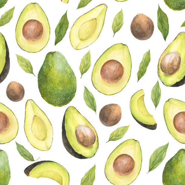 Watercolor seamless pattern with illustration of appetizing green sliced hass avocados with pit and leaves on white background. Watercolor seamless pattern with illustration of appetizing green sliced hass avocados with pit and leaves on white background. Can be used for packaging design, prints, fabric, clothers hass avocado stock illustrations