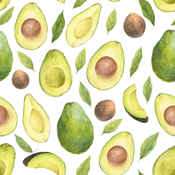 Watercolor seamless pattern with illustration of appetizing green sliced hass avocados with pit and leaves on white background. Watercolor seamless pattern with illustration of appetizing green sliced hass avocados with pit and leaves on white background. Can be used for packaging design, prints, fabric, clothers hass avocado stock illustrations
