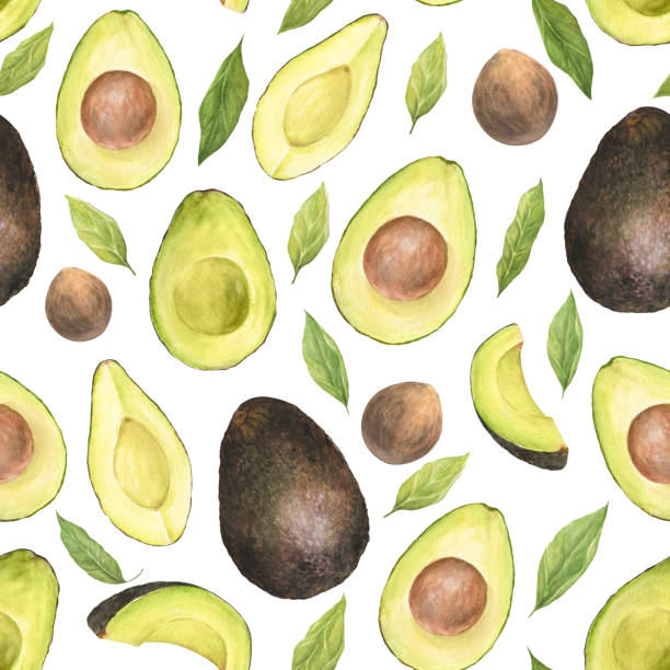 Watercolor seamless pattern with illustration of appetizing green sliced hass avocados with pit and leaves on white background. Watercolor seamless pattern with illustration of appetizing green sliced hass avocados with pit and leaves on white background. Can be used for packaging design, prints, fabric, clothers hass avocado stock illustrations