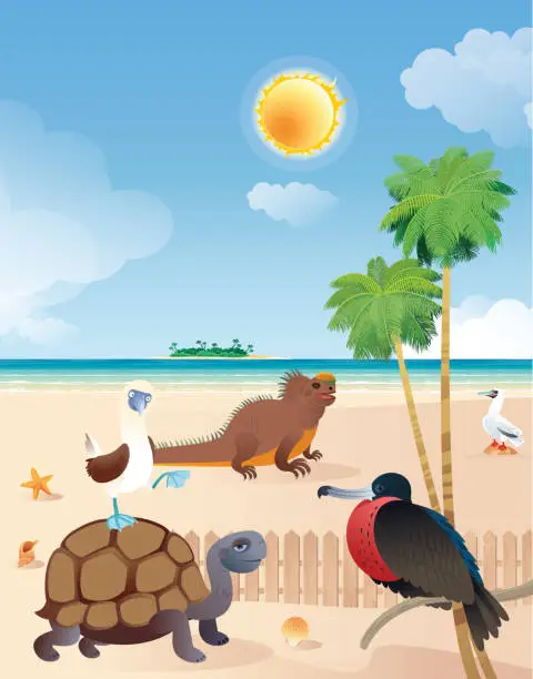 Vector illustration of Galapagos Islands and animals