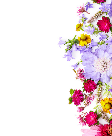 Colorful mixed flowers border with pure white center