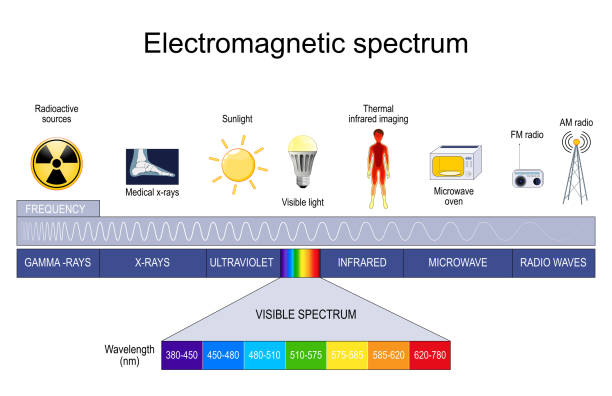 illustrations, cliparts, dessins animés et icônes de spectre électromagnétique - electromagnet