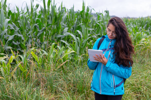 istock Happy young ethnic woman checking plants and taking notes in garden 1490370721