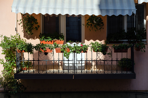 Flower pots with beautiful flowers on a balcony