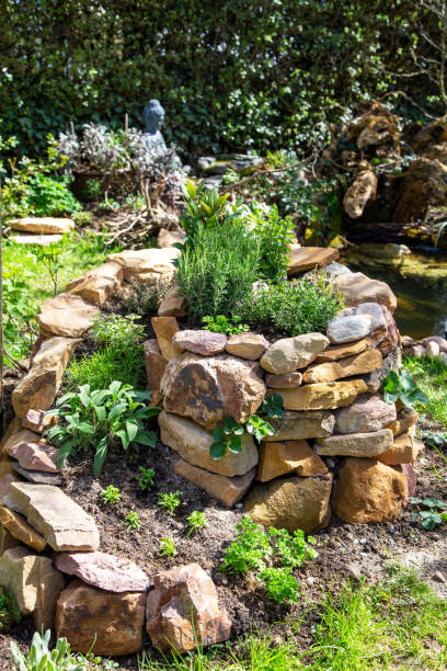 Herb spiral built with stones. Thyme, bay leaf, rosemary, sage, peppermint, parsley, marjoram, olive herb (Santolina Viridis)