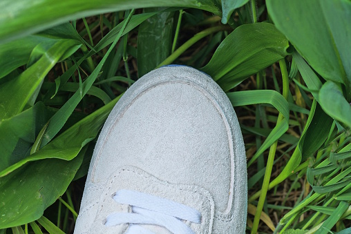 one white sneaker made of suede stands on the green leaves of plants outdoors in nature