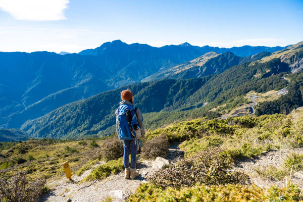 istock Hikers stand on top of a mountain looking at view. 1490379653