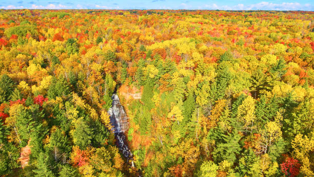 istock Distant aerial shot of a massive waterfall over cliffs with a river and a large forest with fall trees of yellow gold red orange and green 1490381829