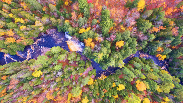 istock Fall forest shot from a drone with a blue river a waterfall and white water rapids 1490382912