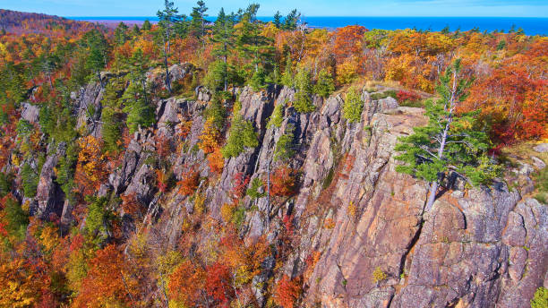 istock Fall forest in the mountains with aspens and pine trees and cliff walls 1490382913