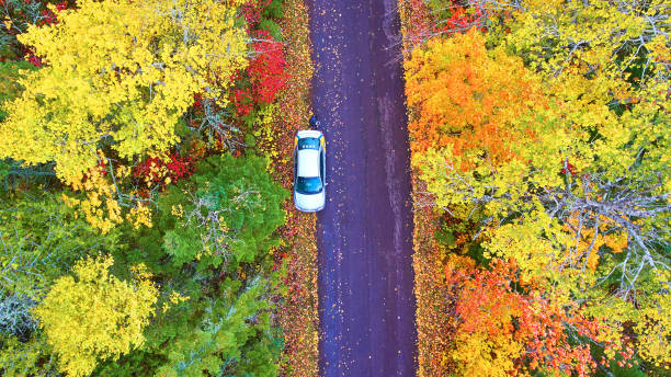 istock Fall forest with a white car on an asphalt road aerial shot 1490382919