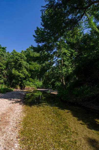 istock Castlewood SP - Kiefer Creek Long Quiet Pool & Reflection 1490383028