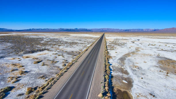 istock Flat desert landscape with highway through center 1490383514