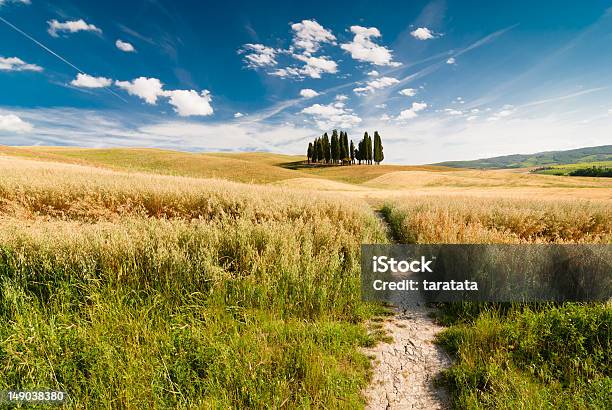 Foto de Paisagem Toscana Itália e mais fotos de stock de Amarelo - Amarelo, Azul, Brilhante - Luminosidade