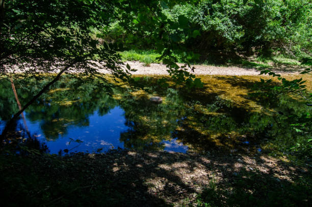 istock Castlewood SP - Kiefer Creek Reflection Pool in Shadows 1490384221