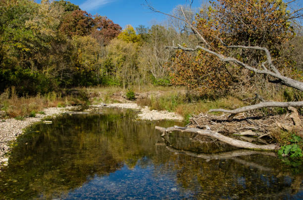 istock Castlewood SP - Meramec River Backwater in Autumn 1490384973