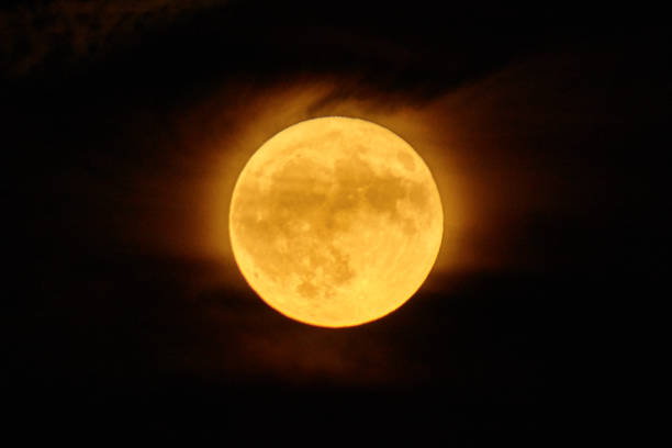 istock Full Moon that is a harvest moon glowing orange with a misty cloud coverage 1490385112