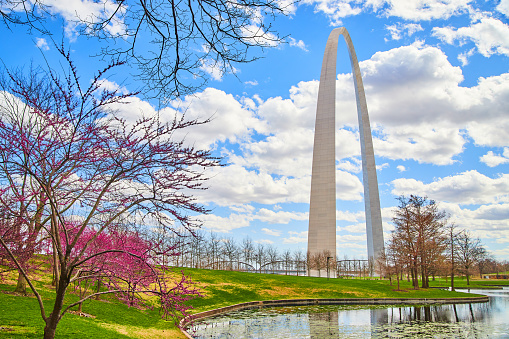 Image of Gateway Arch in St. Louis by cherry trees and pond