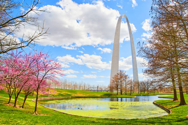 Image of Gateway Arch in St. Louis by lake lined with cherry trees in early spring