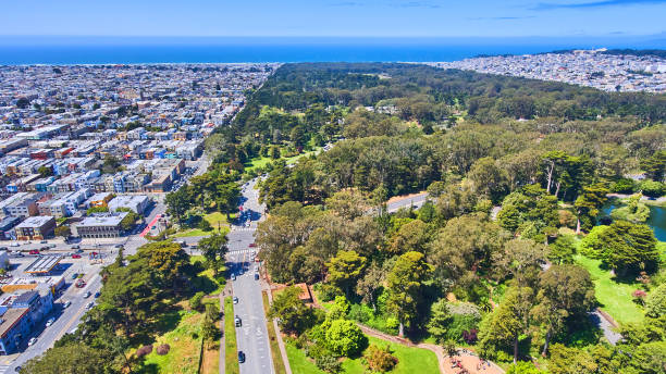 istock Golden Gate Park aerial in spring at San Francisco 1490386014