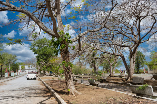 Glimpse at a small park in Santa Lucia , now known as Rafael Freyre, situated in Holguin Province.