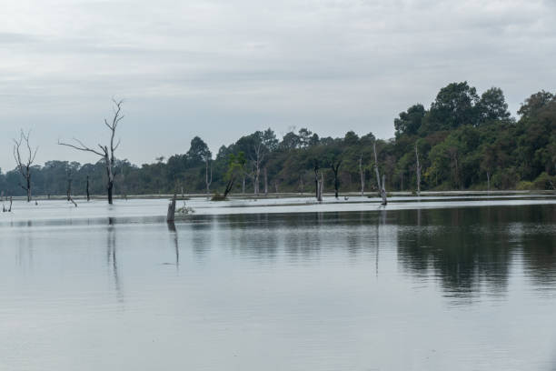 istock West Baray Lake, Angkor, Cambodia 1490386335
