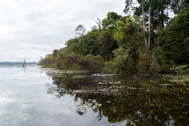 istock West Baray Lake, Angkor, Cambodia 1490387243