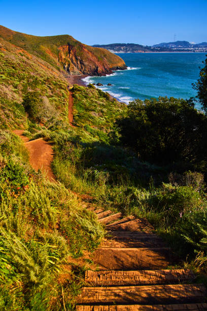 istock Hiking trail leading downhill to ocean beaches 1490388577