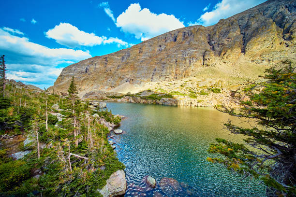 Image of Lake in the mountains surrounded by pine trees